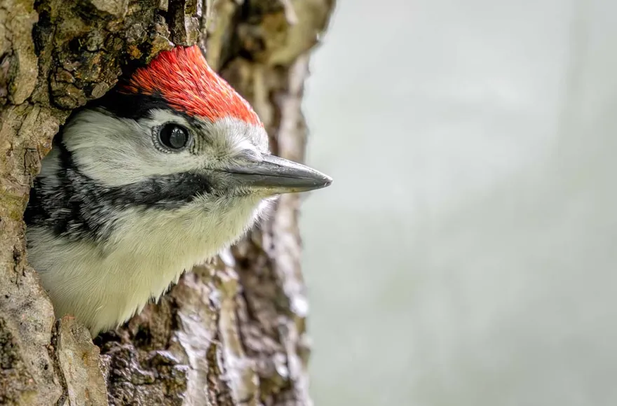 Fotografie Kurs Landsberg am Lech