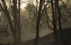Fotokurs Dülmen