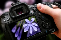 Fotokurs Düsseldorf (Einzelcoaching)