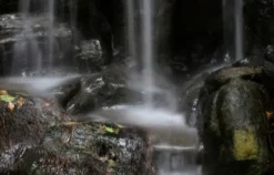 Fotokurs "Erlebnis-Zoo" Hannover
