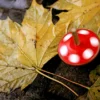 Fotokurs Essen (Einzelcoaching)