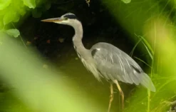Fotokurs Hamm