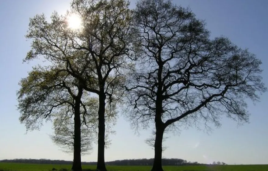 Fotokurs Olfen mit Fahrradtour