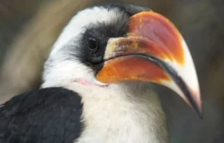 Fotokurs "Tierpark" Hamburg