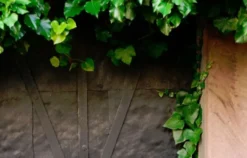 Fotokurs Wetzlar (Lahninsel)