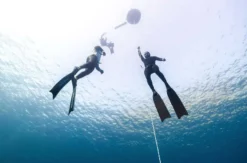 Freediving Tageskurs Ettenheim