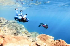 Freediving Tageskurs Ettenheim