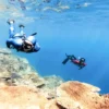 Freediving Tageskurs Steina