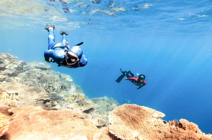 Freediving Tageskurs Steina