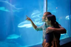 Frühstück & Sea Life München für 2