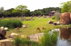 Frühstück & Zoobesuch Leipzig für 2