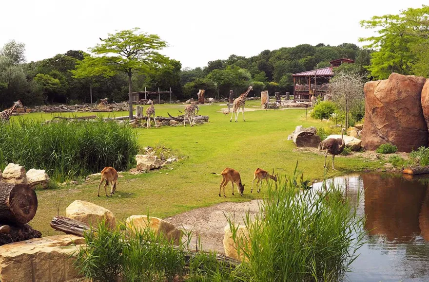 Frühstück & Zoobesuch Leipzig für 2