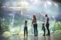 Frühstück & Zoobesuch Leipzig für 2