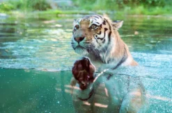 Frühstück & Zoobesuch Leipzig für 2