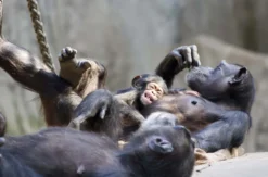 Frühstück & Zoobesuch Leipzig für 2