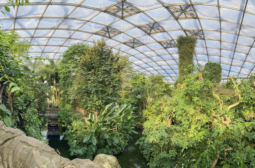 Frühstück & Zoobesuch Leipzig für 2