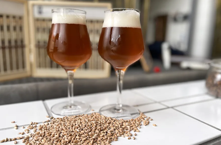 Fränkisches Bier- und Bratwursterlebnis