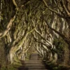 Game of Thrones Filmreise Irland (2 Nächte)