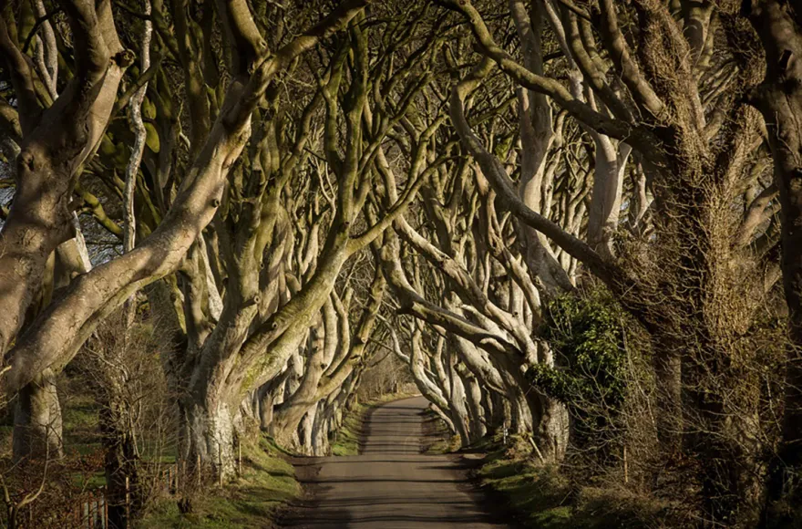 Game of Thrones Filmreise Irland (2 Nächte)
