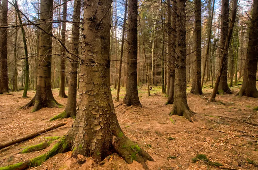 Game of Thrones Filmreise Irland (2 Nächte)