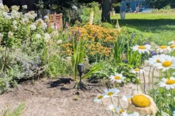 Garten Kurs Bottrop