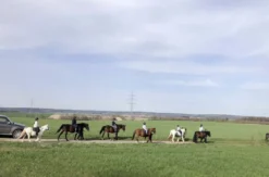 Geführter Ausritt Langenfeld