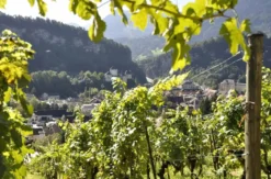 Genussreise Feldkirch für 2 (2 Nächte)