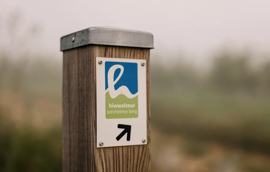 Genusswandern in Rheinhessen Mommenheim für 2 (1 Nacht)