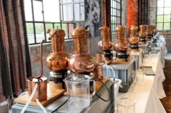 Gin Brennkurs Bonn