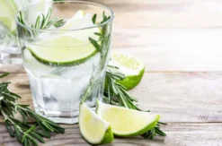 Gin Brennkurs Dortmund