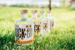 Gin Brennkurs mit 5-Gänge-Menü Guldental