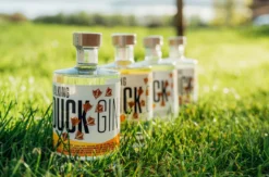 Gin Brennkurs Wallhausen mit 5-Gänge-Menü