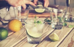 Gin Degustation Zürich