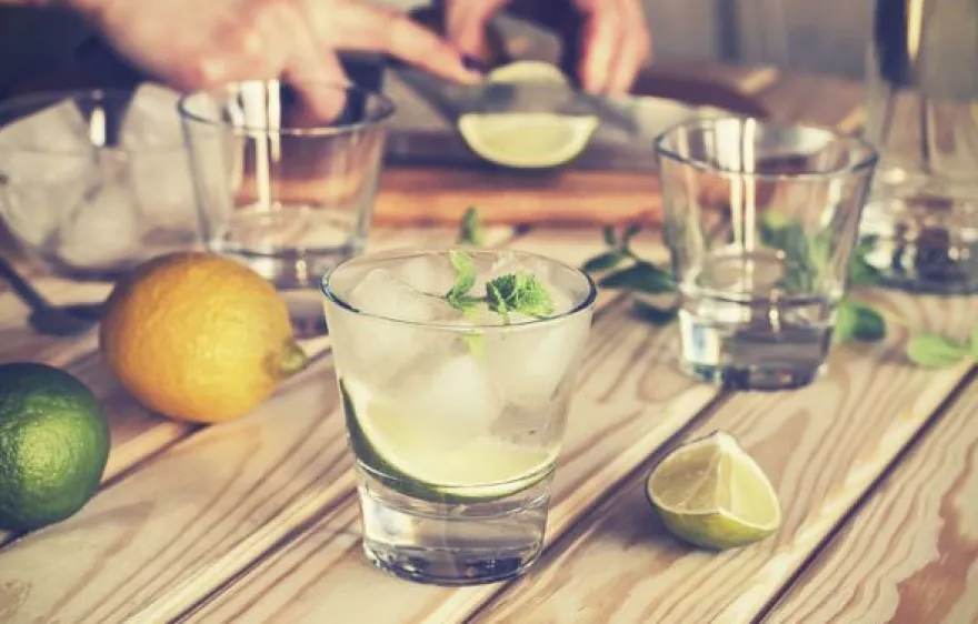 Gin Degustation Zürich