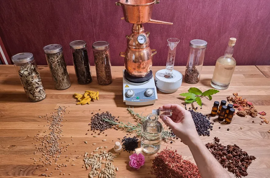 Gin selber machen Neunkirchen