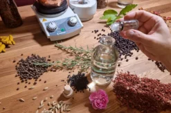 Gin selber machen Neunkirchen