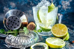 Gin Seminar