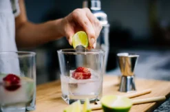 Gin Seminar Frankfurt am Main (für Einsteiger)