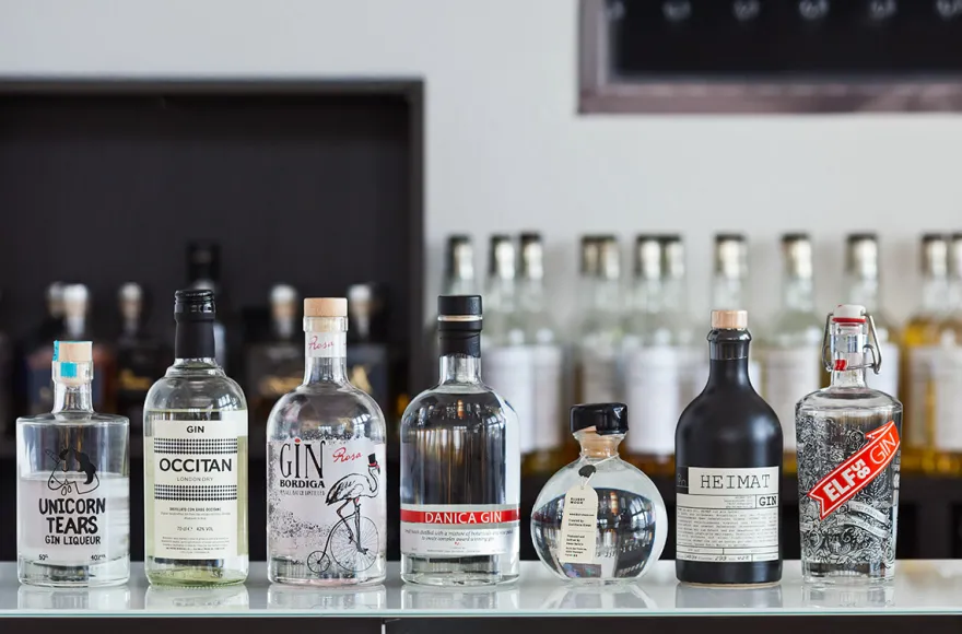 Gin Seminar Frankfurt am Main (für Einsteiger)