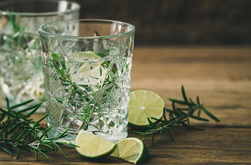 Gin Seminar München (für Einsteiger)