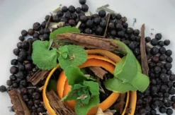 Gin Seminar Neu Wulmstorf
