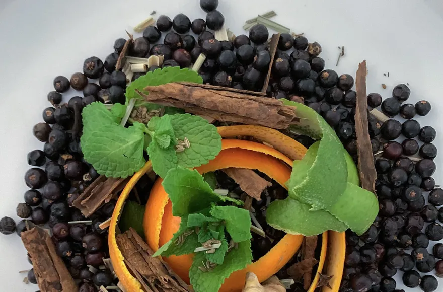 Gin Seminar Neu Wulmstorf