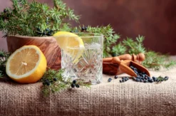 Gin Seminar Neu Wulmstorf