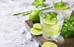 Gin Seminar Osthofen