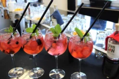 Gin Seminar Trier