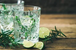 Gin Tasting