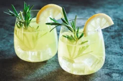 Gin Tasting