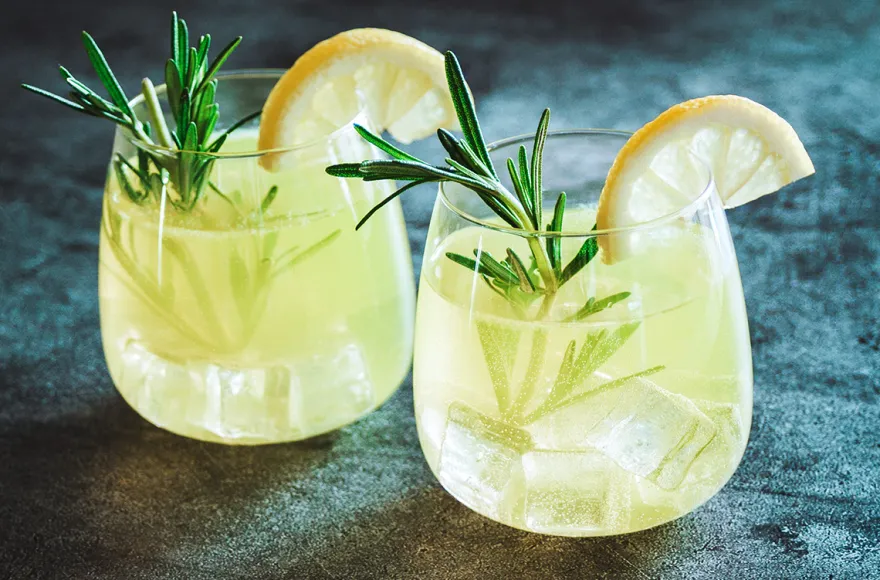 Gin Tasting