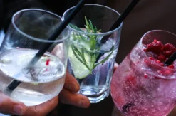 Gin Tasting Bad Berneck
