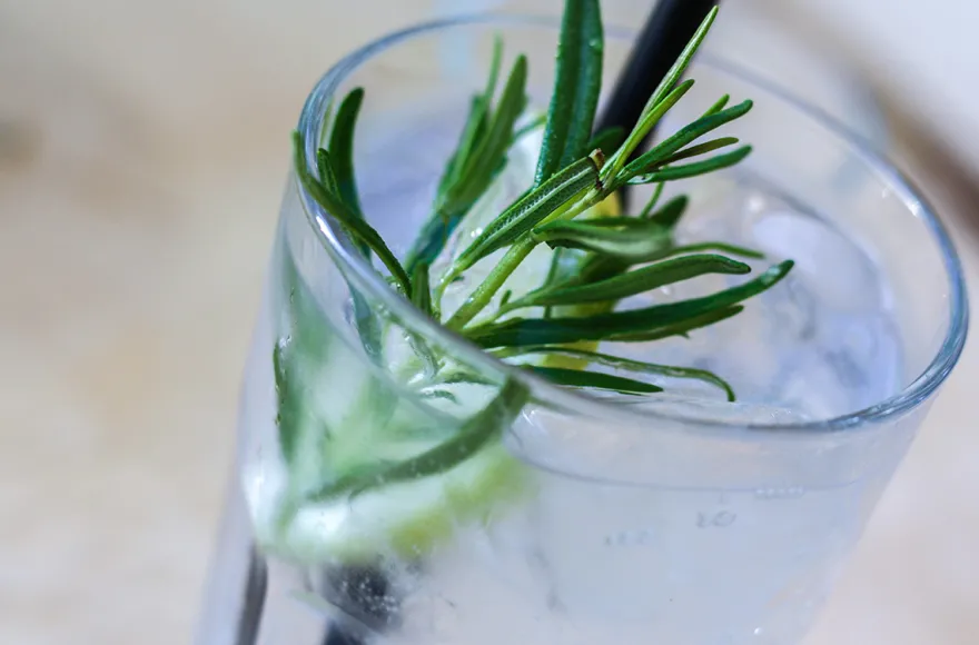 Gin Tasting Bad Berneck